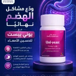 يوني ييست